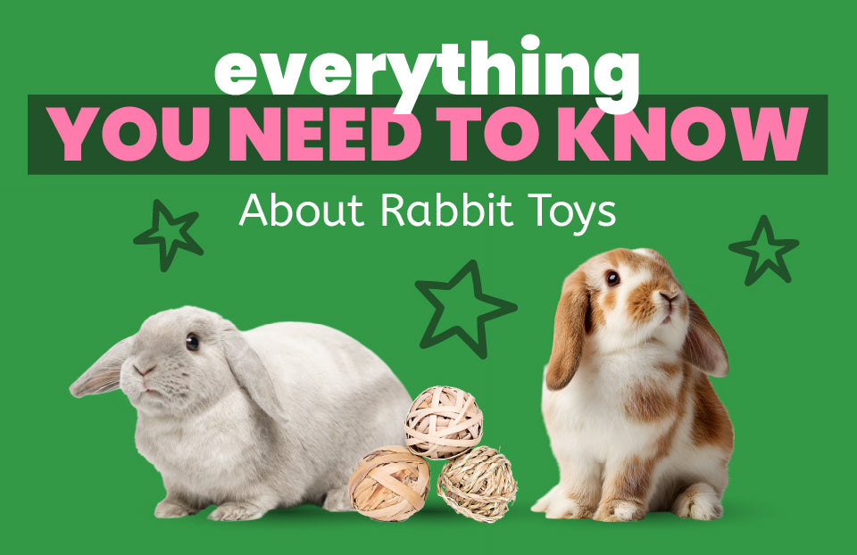 Everything You Need to Know About Rabbit Toys