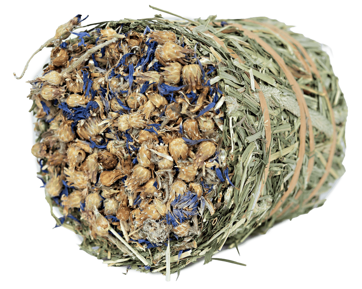 Timothy Hay Roll - Cornflower