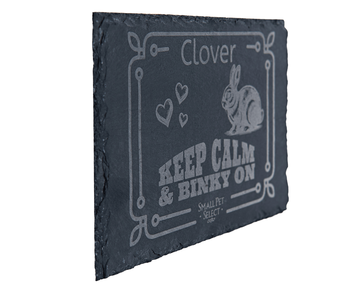 Personalized Pet Slate Plaque