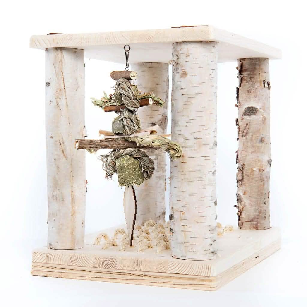 🎁 Tiny Paws Wonderland Play Table (100% off)