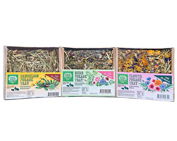 Delicious Herbs & Blends for Guinea Pigs | Small Pet Select - Small Pet ...