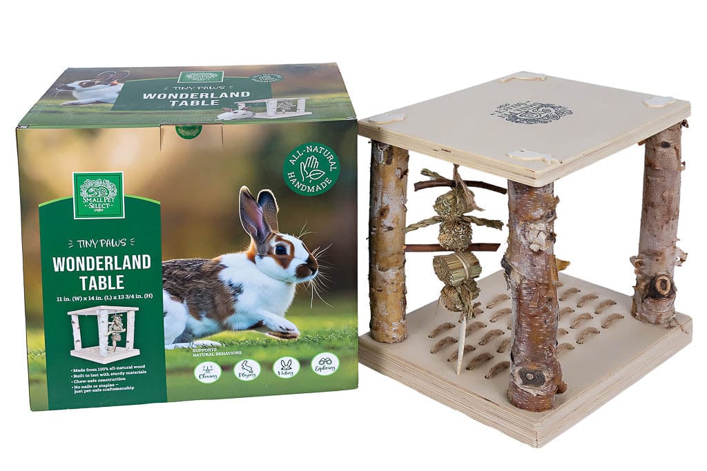 🎁 Tiny Paws Wonderland Play Table (100% off)