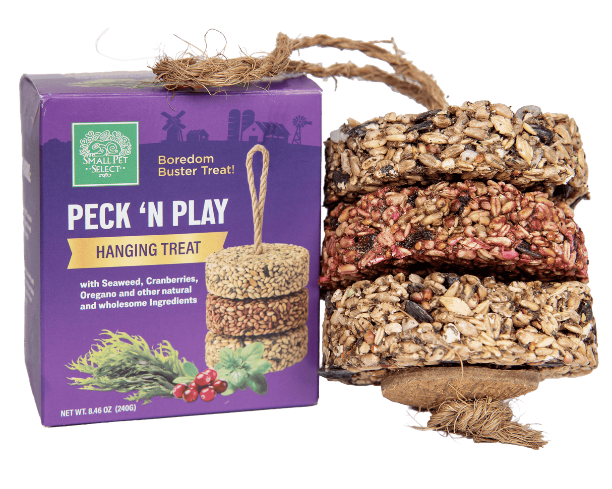 Peck 'N Play Hanging Treat