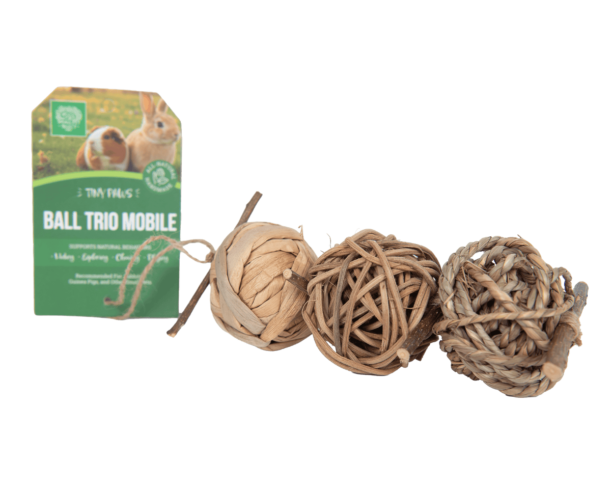 Tiny Paws Ball Trio Mobile