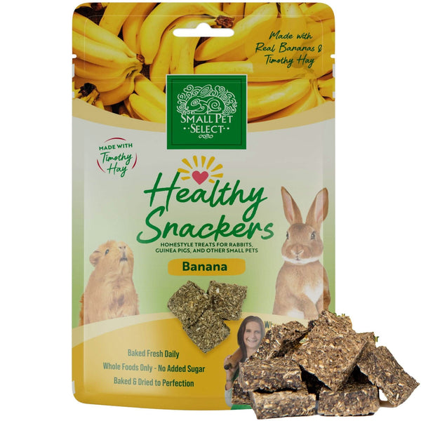 Healthy Snackers 100 AllNatural Healthy Treats for Small Pets