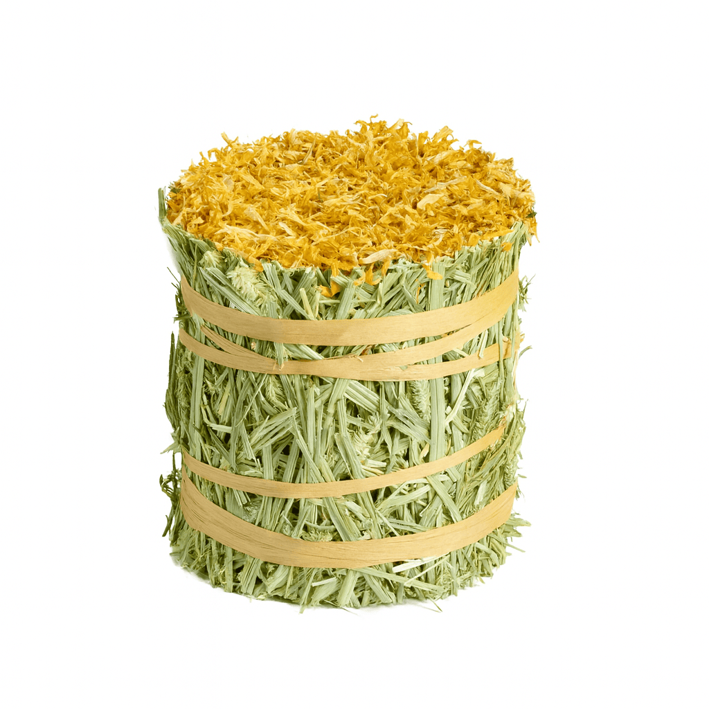 Timothy Hay Roll - Marigold