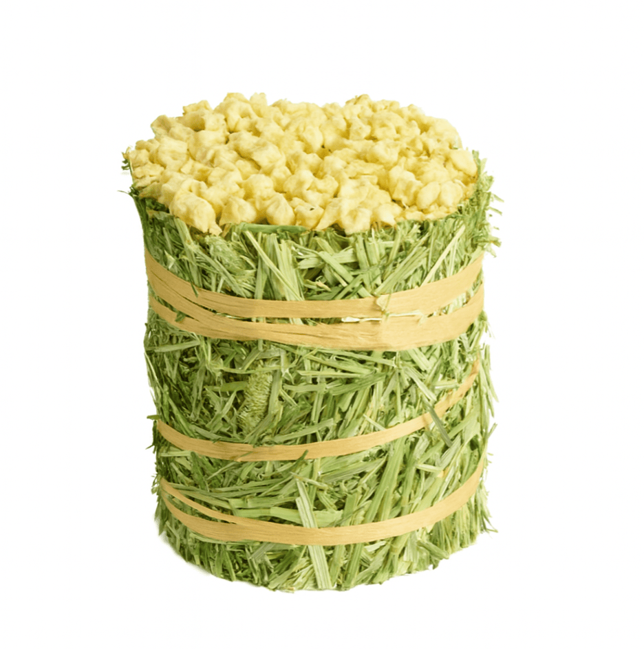 Timothy Hay Roll - 3 Pack