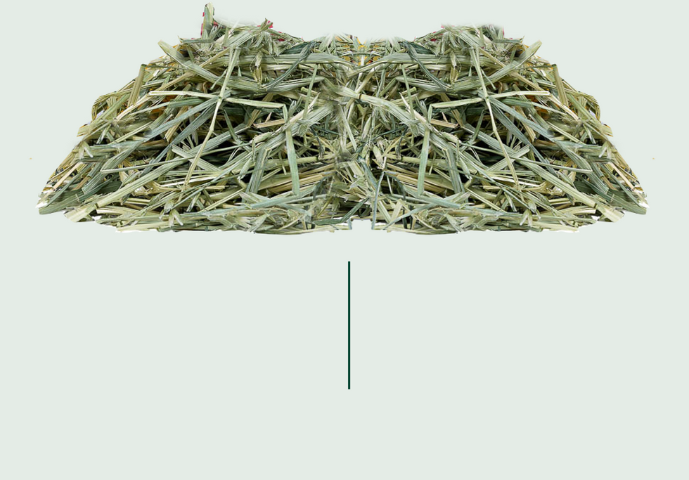 behind the brand where are we now