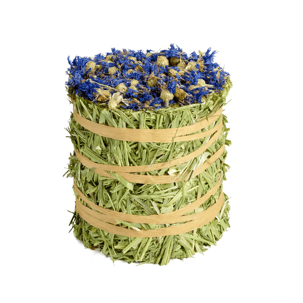 Timothy Hay Roll - Cornflower