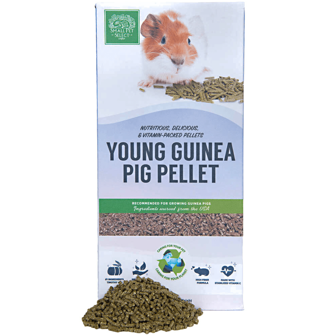 View of Young Guinea Pig Food Pellet – Small Pet Select U.S.