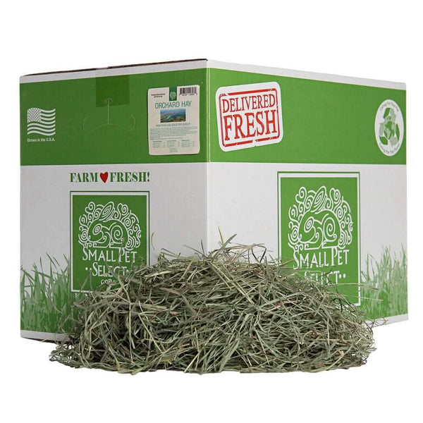 Orchard hay for rabbits best sale