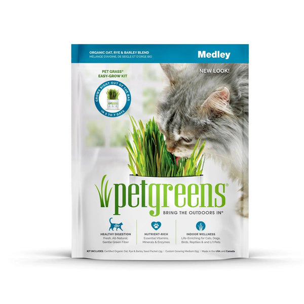 Pet greens shop jerky squares