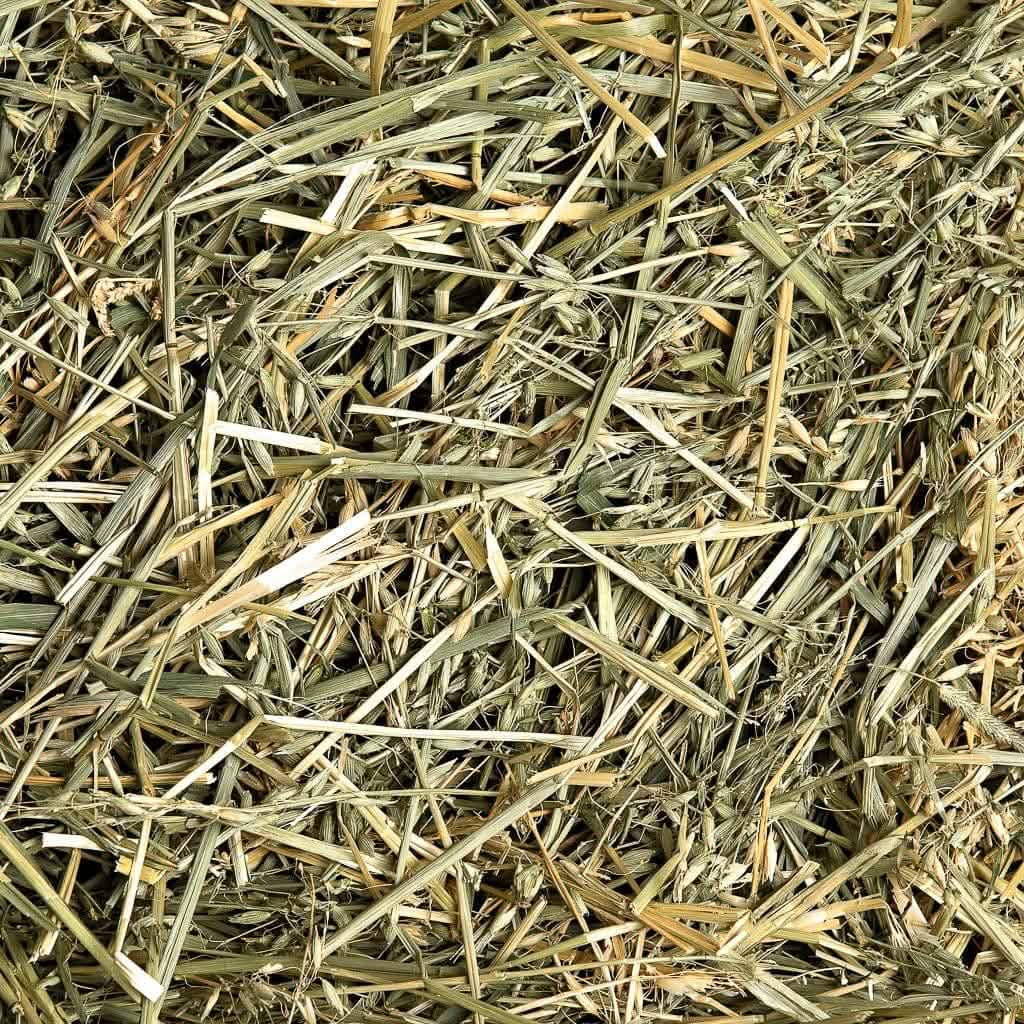 Oat Hay, :Smallpetselect