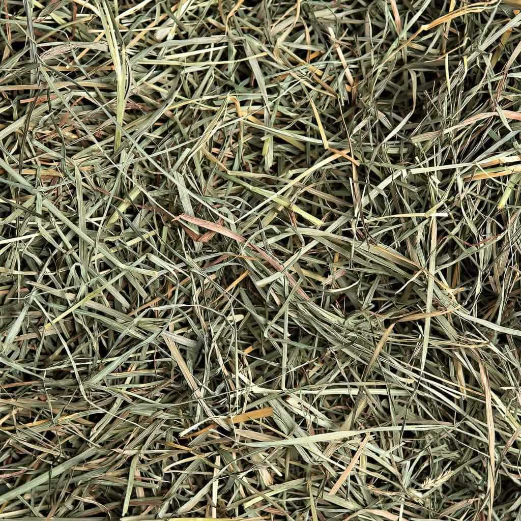 Orchard Hay, :Smallpetselect