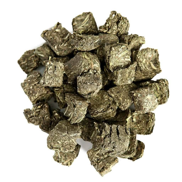 Can guinea pigs eat alfalfa cubes hot sale