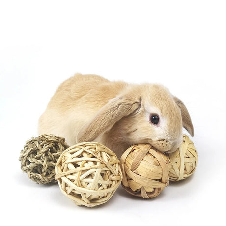 Everything You Need to Know About Rabbit Toys