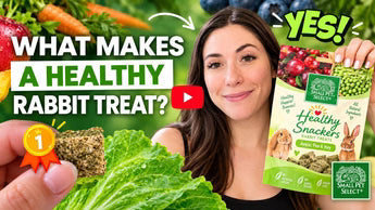 What Rabbit Treats Can be Fed Daily? (And What Makes A Healthy Treat?)