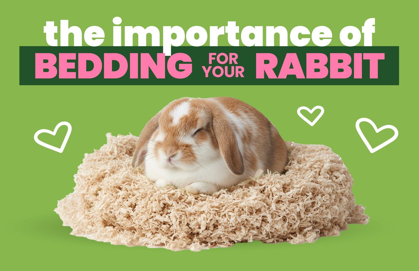 The Importance Of Bedding For Your Rabbit