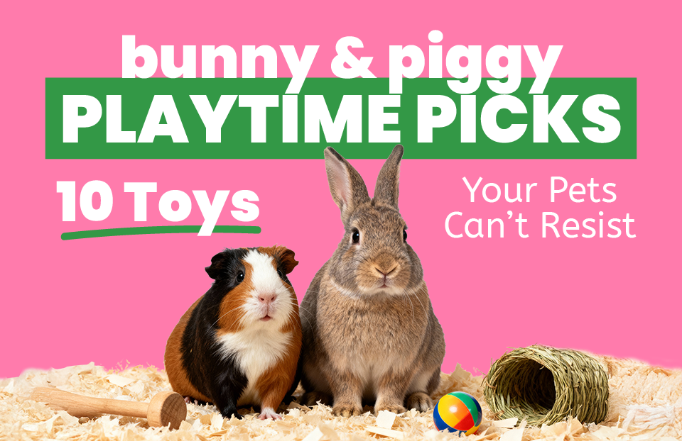 Bunny & Piggy Playtime Picks: 10 Toys Your Pets Can’t Resist