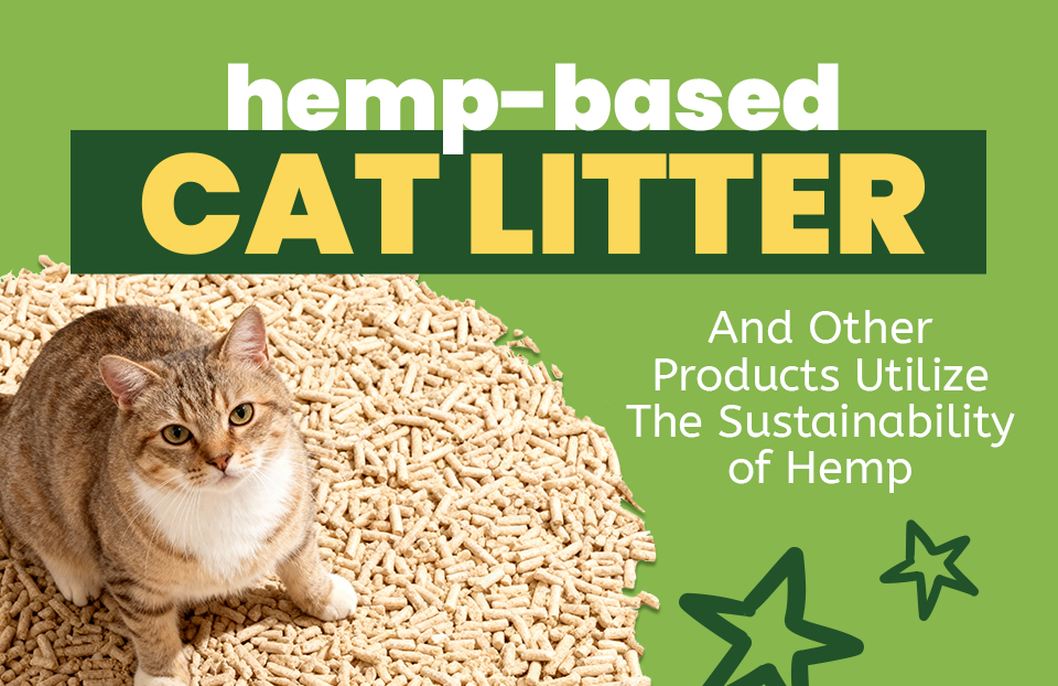 Hemp-Based Cat Litter and Other Products Utilize The Sustainability of Hemp