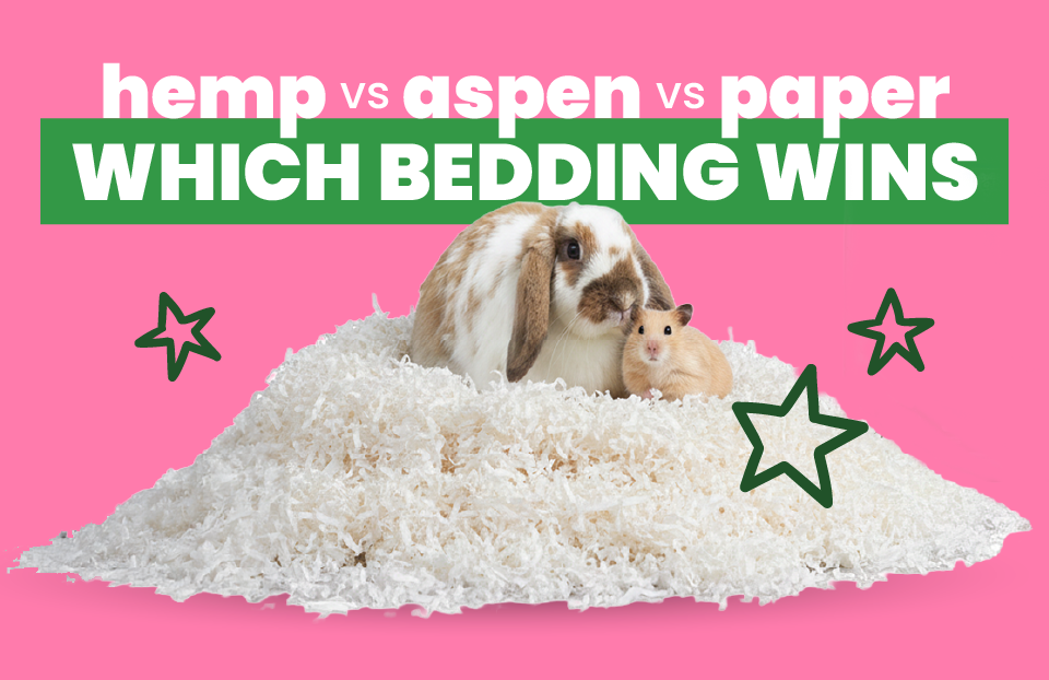 Soft Paper vs. Hemp vs. Aspen vs. Paper Pellets: Which Bedding Wins