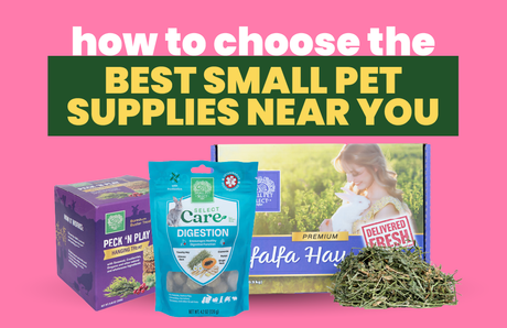 How to Choose the Best Small Pet Supplies Near You