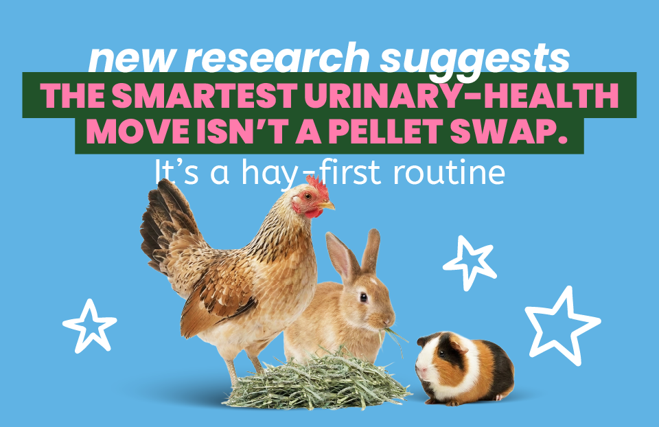 New research suggests the smartest urinary-health move isn’t a pellet swap—it’s a hay-first routine