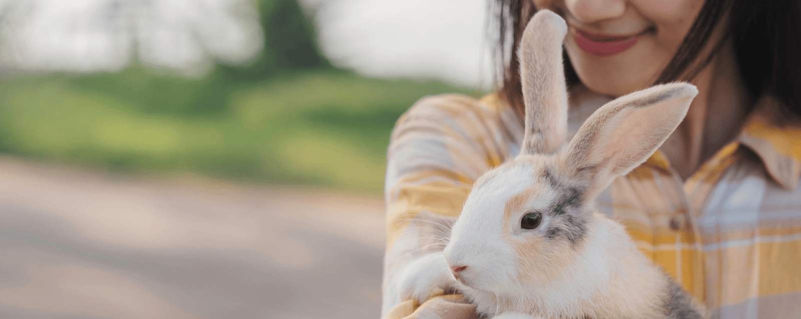Summer Herbs for Rabbits: Safe Feeding Tips