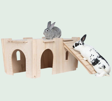Enrichment Helps Reduce Small Pet Stress: Best Toys to Buy by Species