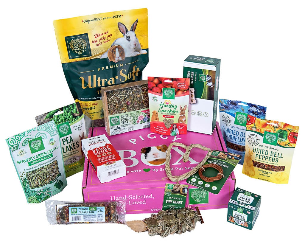 The Piggy Box