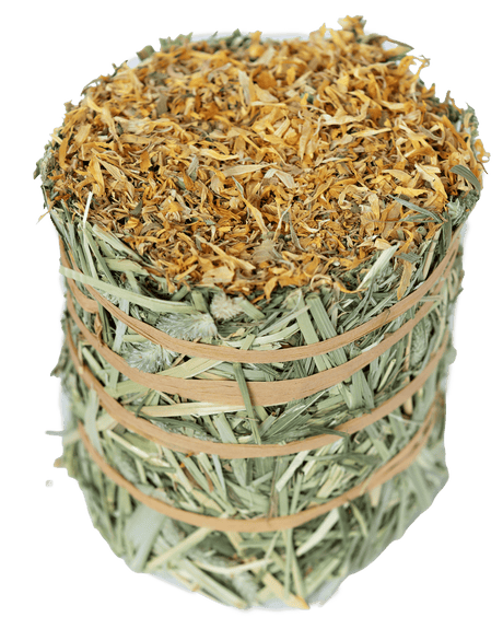 Timothy Hay Roll - Marigold