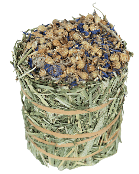 Timothy Hay Roll - Cornflower