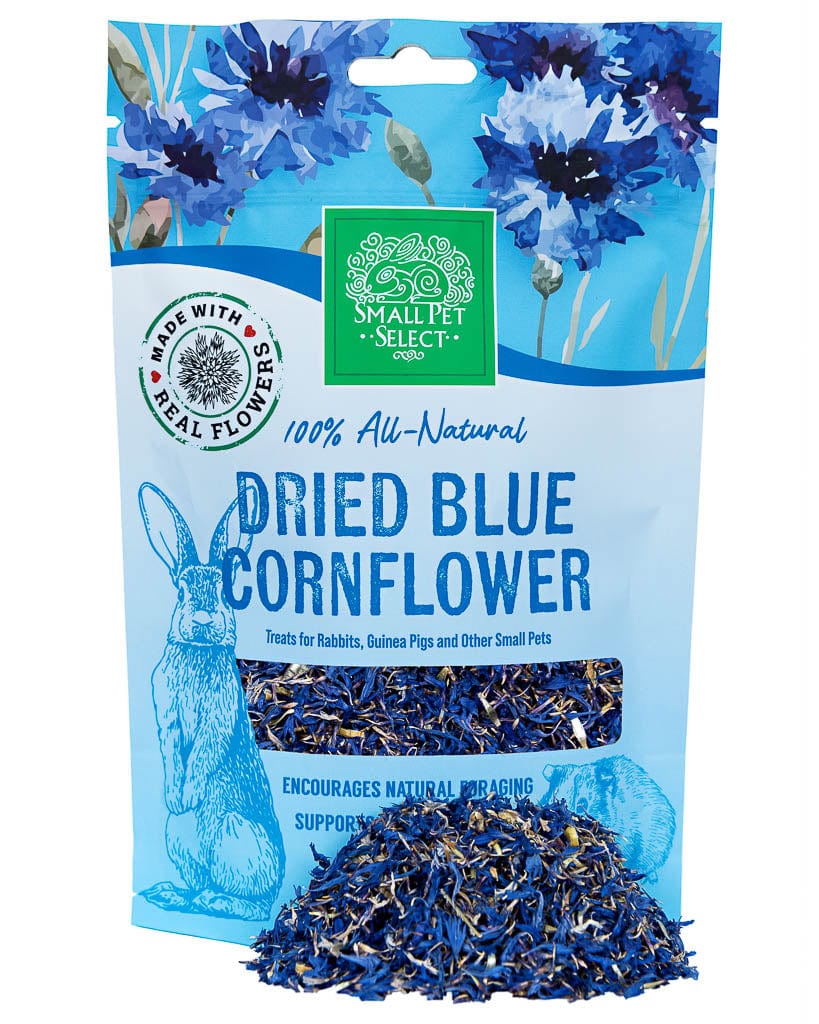 Blue Cornflower Foraging Herbs - Small Pet Select U.S.