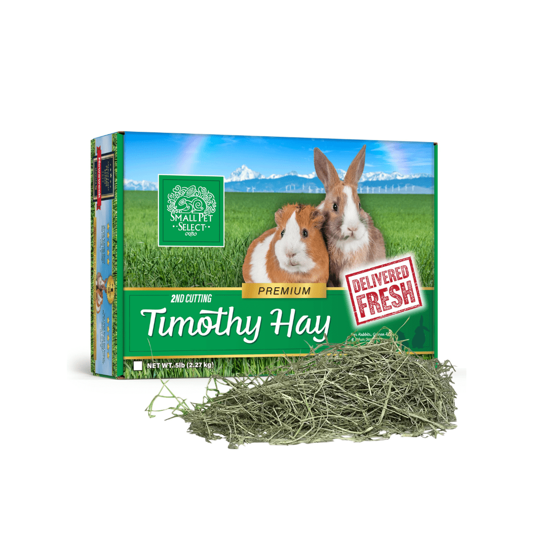 Best place to hot sale buy rabbit supplies