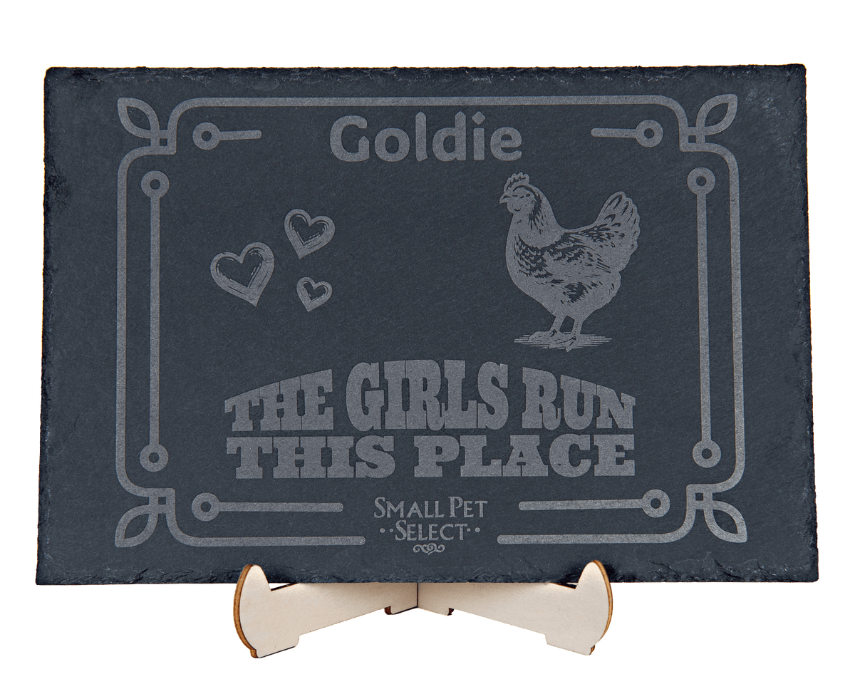 Personalized Pet Slate Plaque