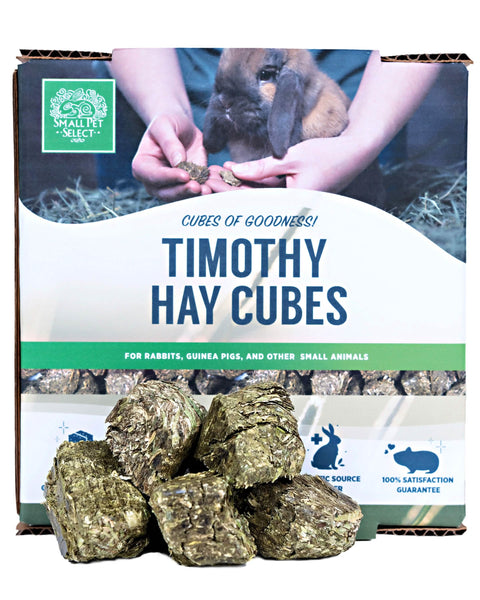 Small Pet Select Timothy Hay Cubes for chinchilla chew time