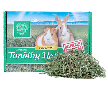 2nd Cutting Timothy Hay