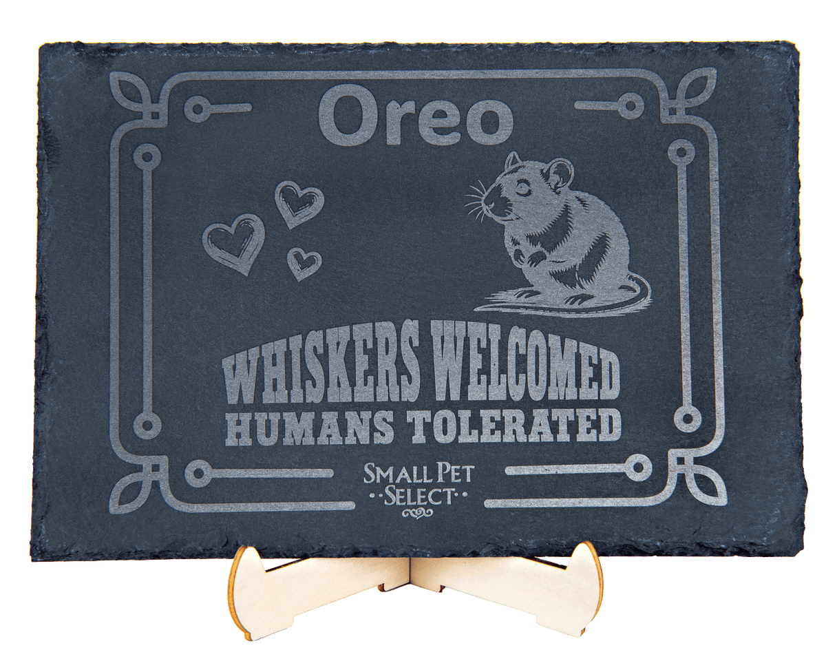 Personalized Pet Slate Plaque