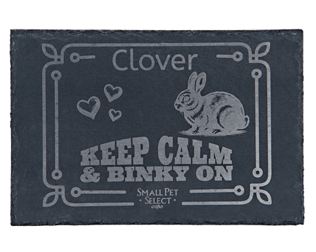 Personalized Pet Slate Plaque