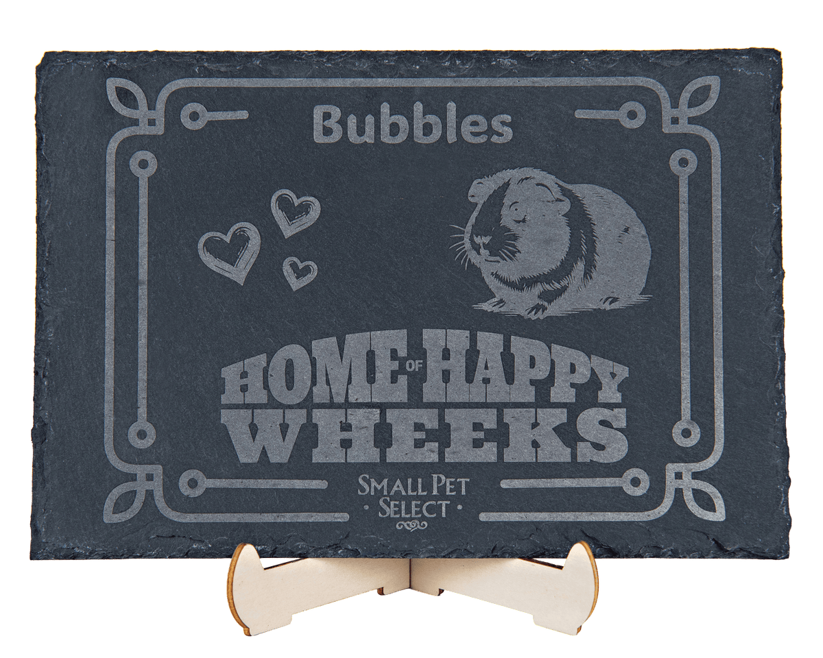 Personalized Pet Slate Plaque
