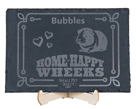 Personalized Pet Slate Plaque
