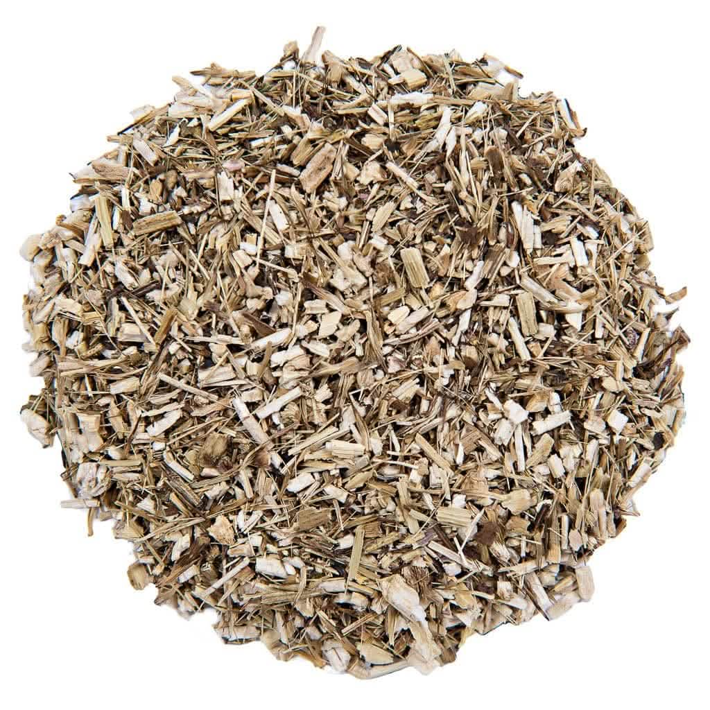 Echinacea Small Pet Select U.S.