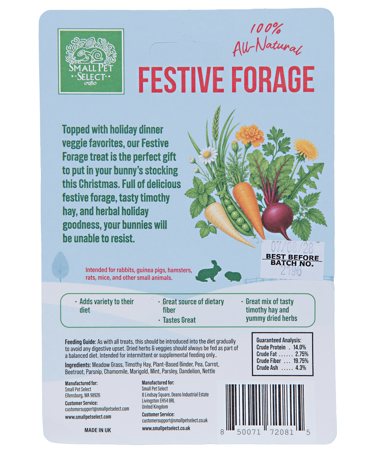 Festive Forage Gingerbread