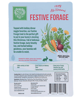 Festive Forage Gingerbread