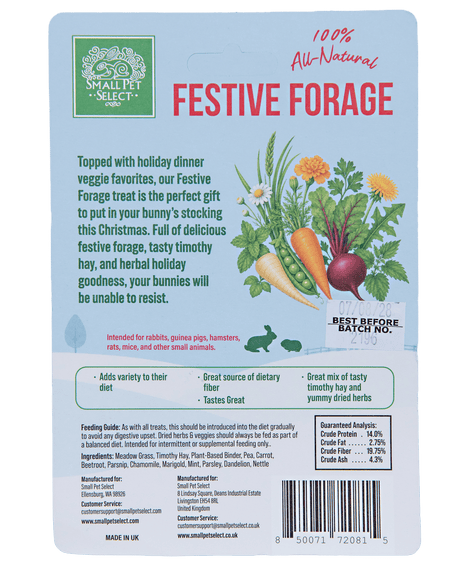 Festive Forage Gingerbread