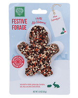 Festive Forage Gingerbread