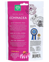 Echinacea