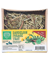 Dandelion Forage Tray