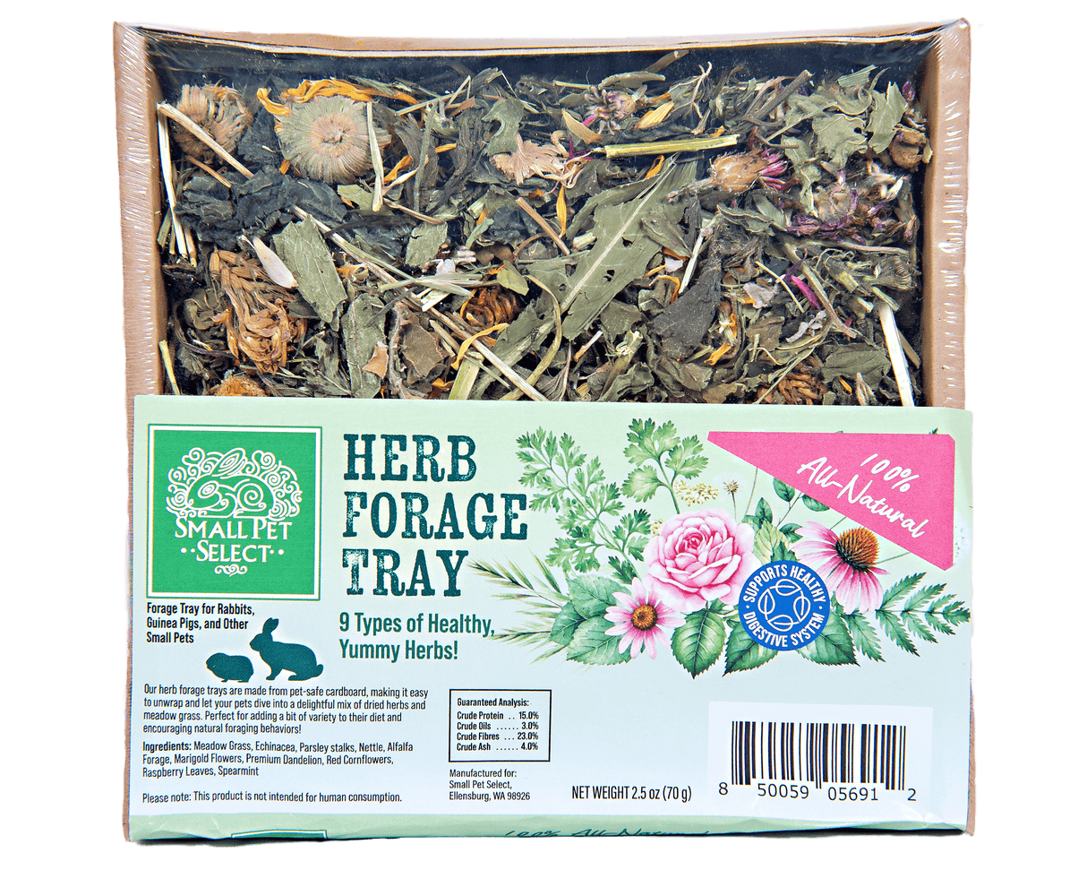 Forage Tray Bundle