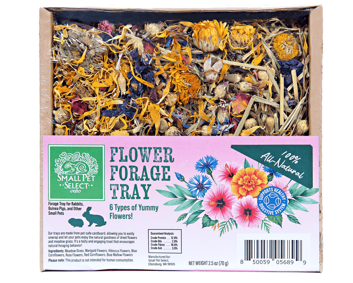 Forage Tray Bundle